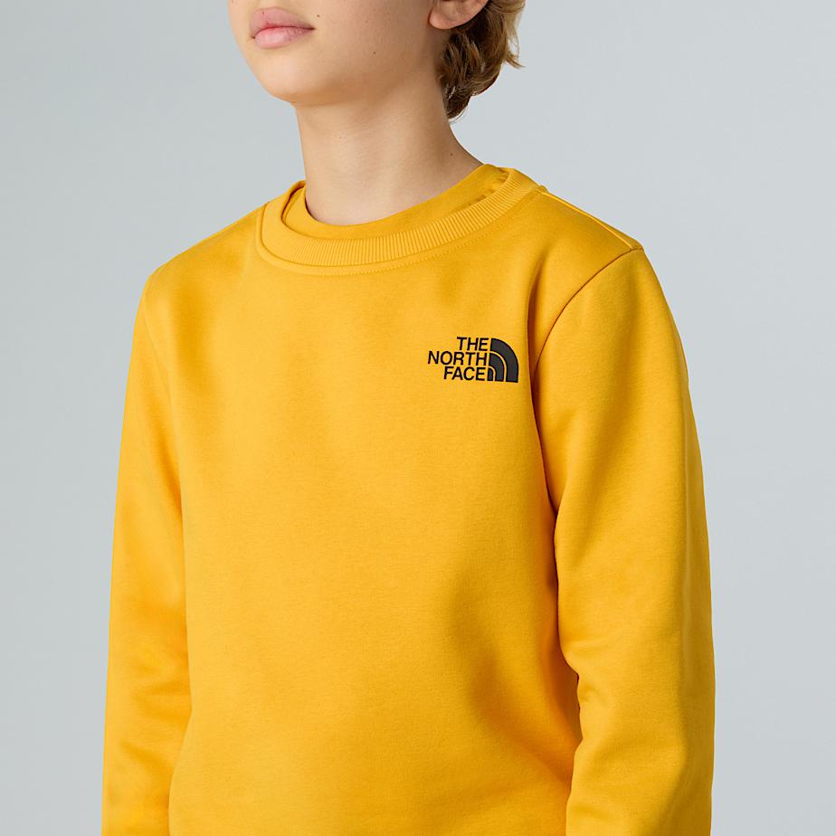 Teens' NSE Box Sweatshirt